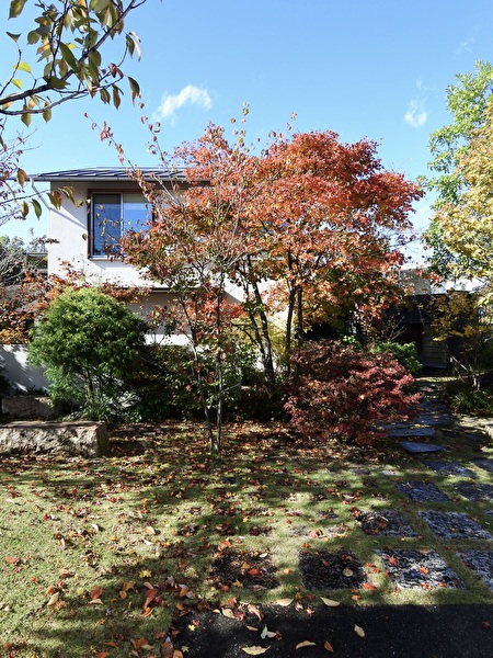 O31MRKwMJ21NDJc1766193182