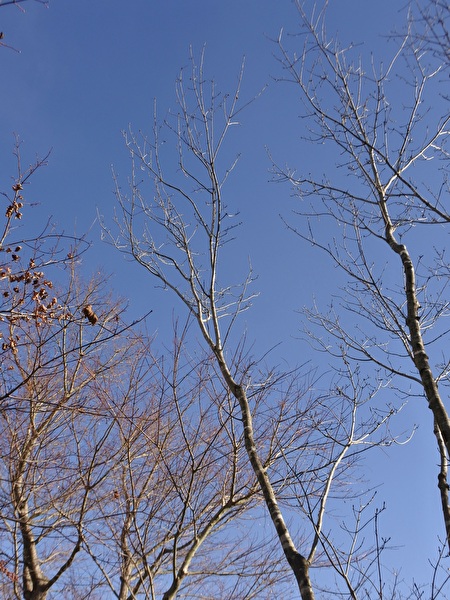 YApRu12UVVQEXrS1766800165