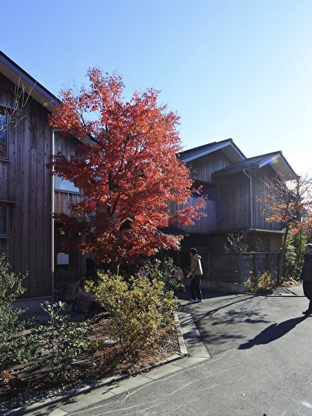 aB2HksS83r8DHGG1766192603