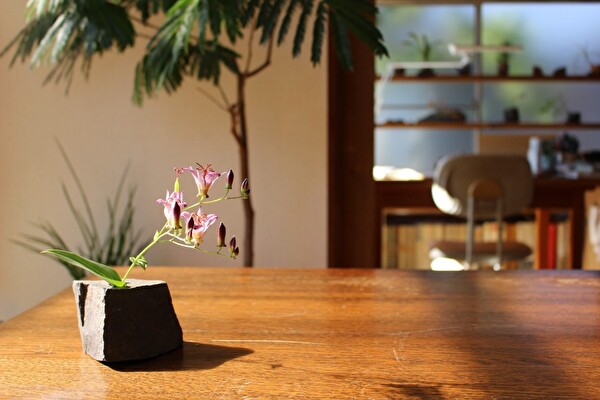 gPlE5OG8MDxvfO01765440007