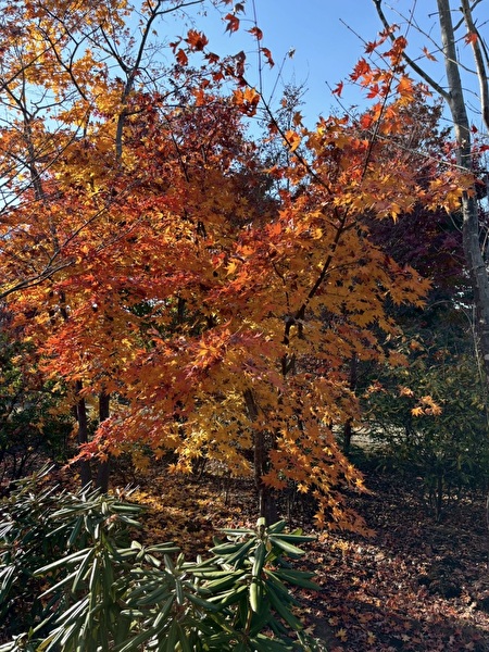 ifIv3AtNkZgT3821766209077