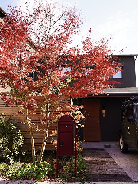 jK6YDWtK3hJ1o551766193474