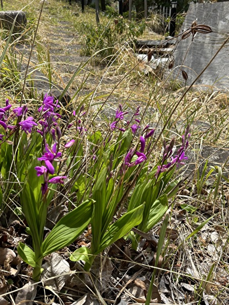 jqE4qzhOPgcgtGV1765599122