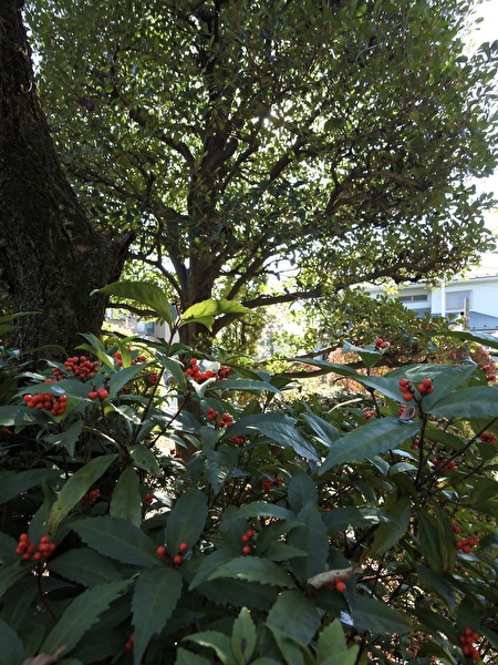 pReCihcKdOTtCn51764919361