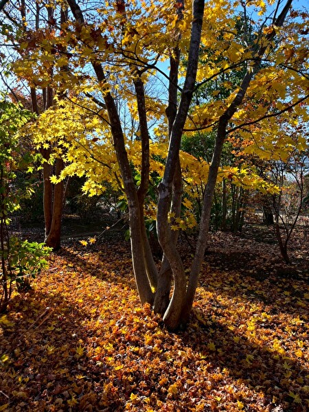 riTPpX5wVMgjlOg1766193398