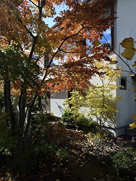 yHsQPmwPTme1oWi1766193163