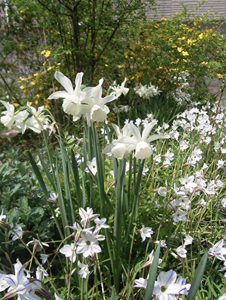 1xK4Q6GHjukURoa1768629091