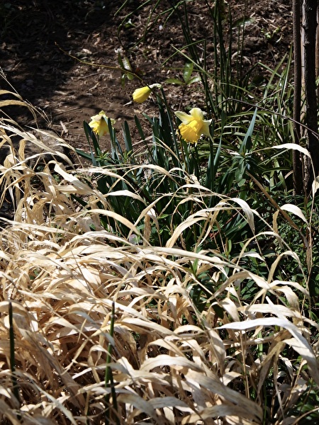 7W37g8D24wUgQJ41768628921