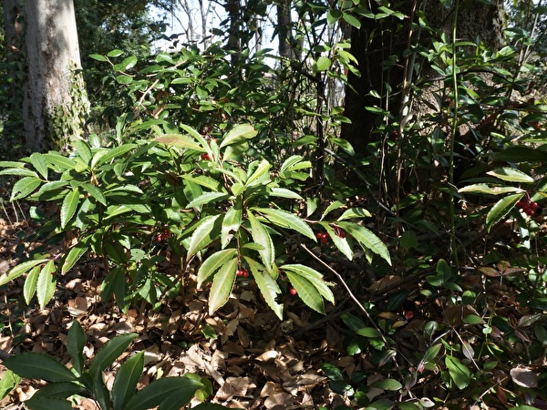 8MB8F1uFHE4Oumi1767249945