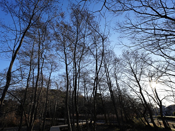 97PgfvoEcPSwNfl1767742779