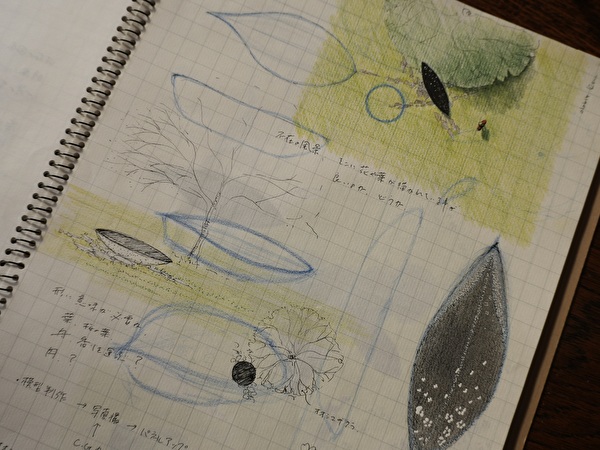 DMFRJHGXS22dHmN1767406215