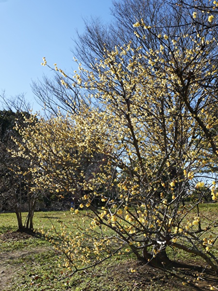 DtStiCtXPEPcW9K1769232701