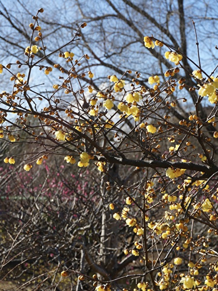 FESTut8U12HLrif1769232744