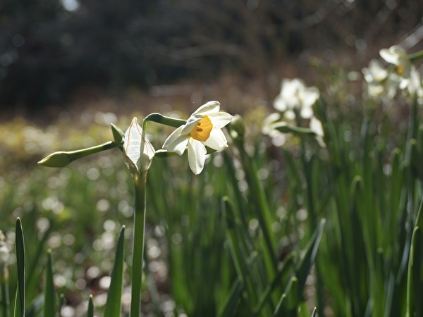 I0pYaJtdLObLQMh1768628949