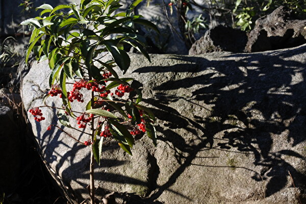 Jm0ycRaEmK9A4DF1642807746