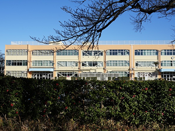 O0ti1uAHRjbrcbN1768194023