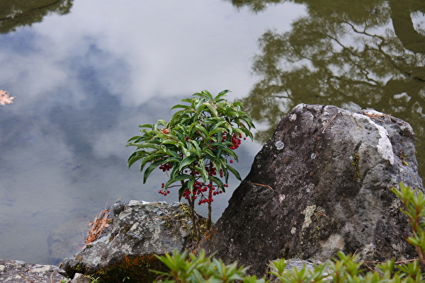 YpSduTFBWGSGzyQ1670721694