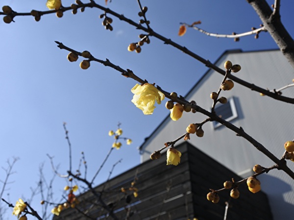 afkhlIHmxRjPOgn1769232803