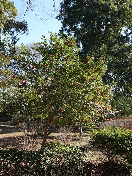 dN2Hvyc1V2AbP5P1768193928