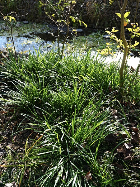 eKLiiN7PJoTsNlF1767592780