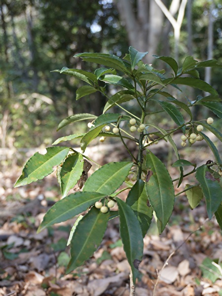 kTuefrnh4KZ4ABb1767249895