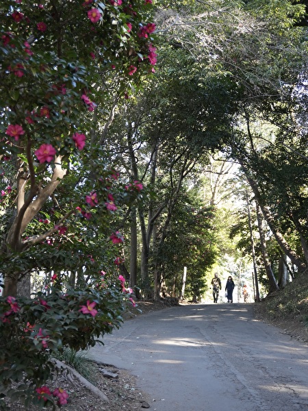 nYhRMQeg8uyZIAW1768193893