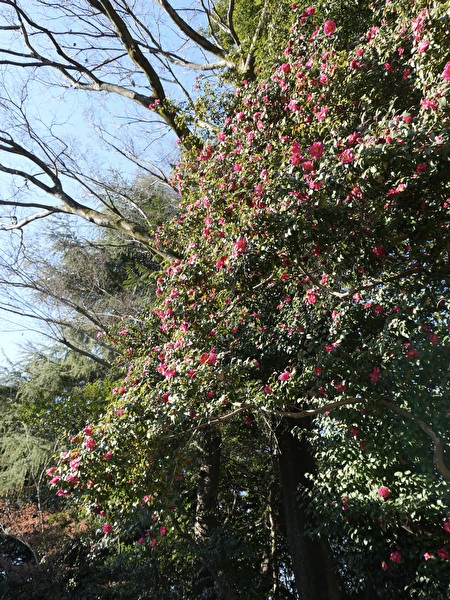 uzkdUl5eiC6pGc71768193872