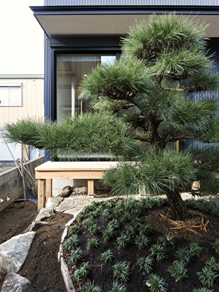 wbvo0TQBNEJJyGS1769842968