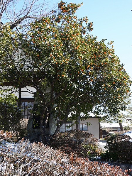 7Lu7jMe8v1OqCCg1770708121