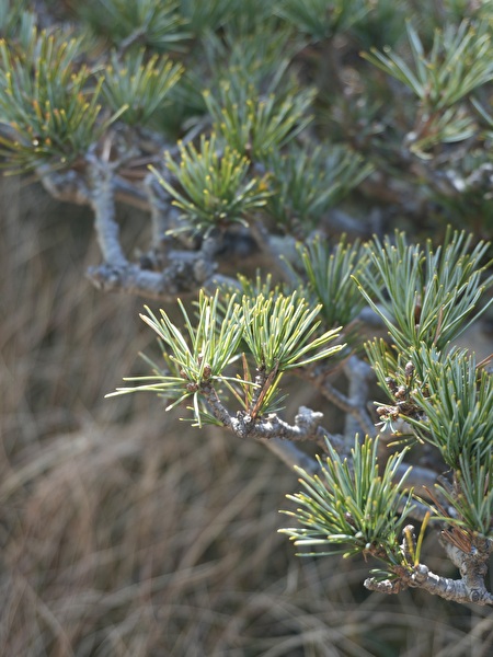 7x760GdvGNyQRp41771719306