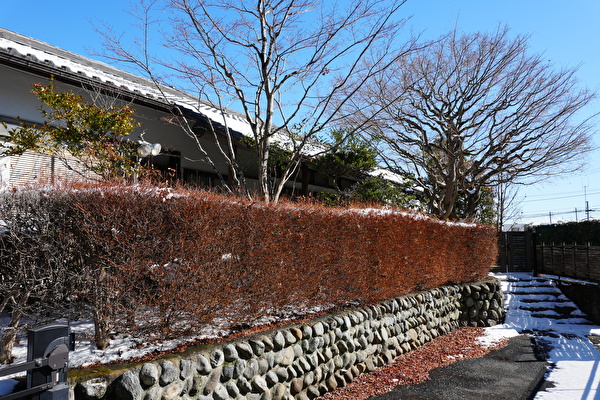 LOhGUmrby0aHf3E1770707967