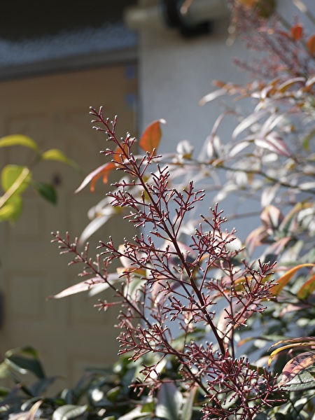 Lm7u507DWFd1Hwe1771834262