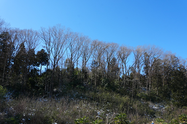 epPaxF71LqwtiFF1770707936