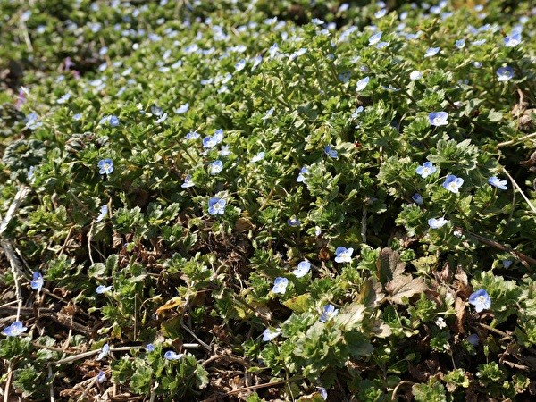 hnniMkojYP0Akea1771134122