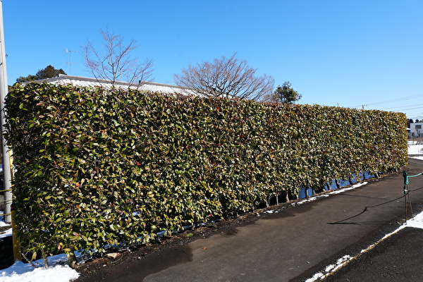 mQc8QUAwxB2vN3a1770708004