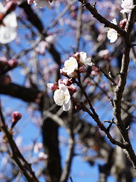 wuPUa6O64tAmQnv1771660135