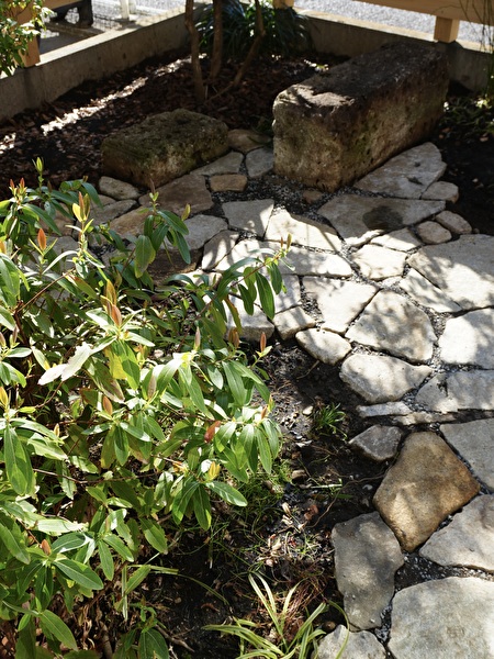 国立で庭のリノベーション