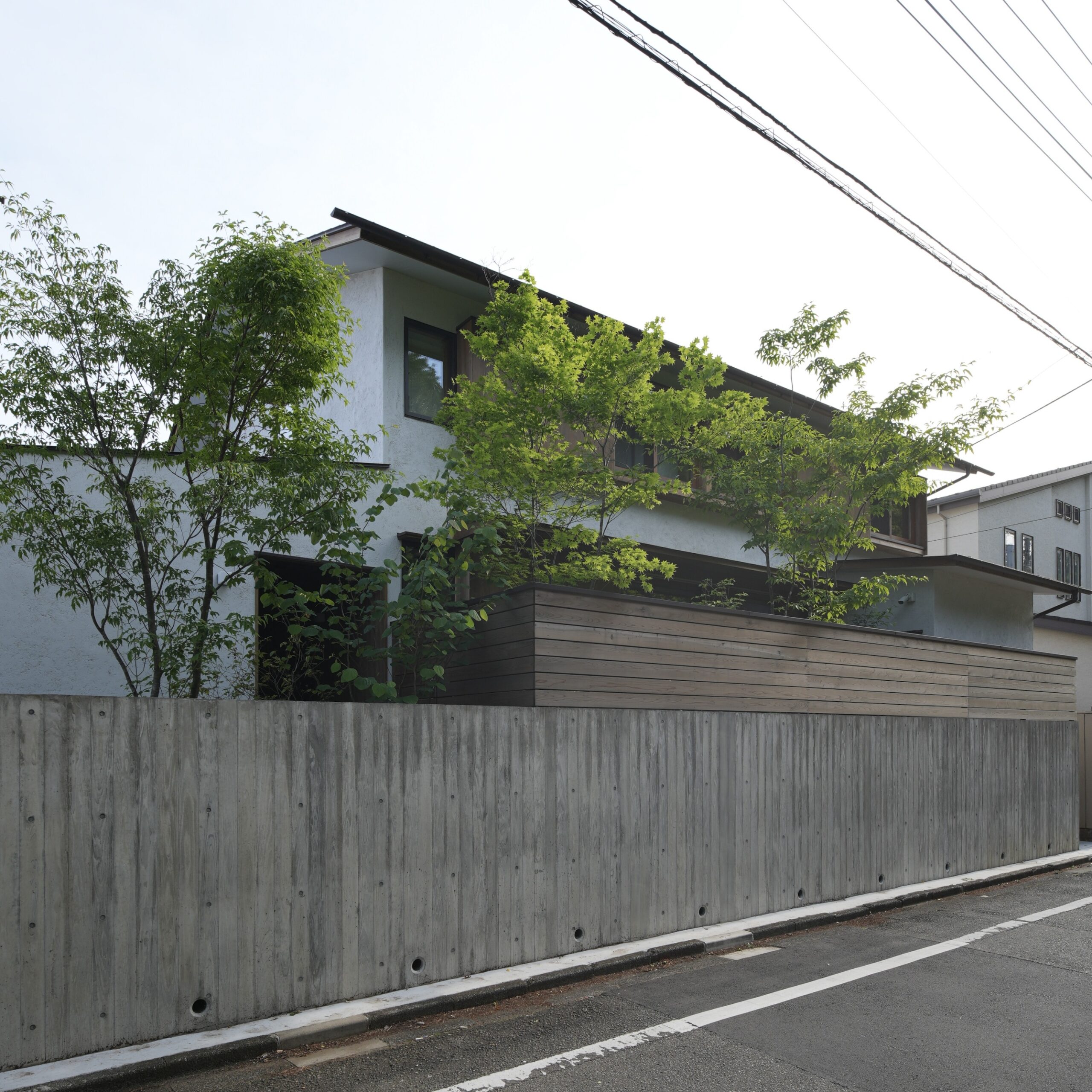 新緑まぶしい5月
